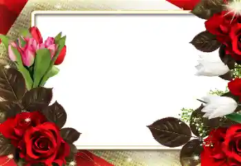 Photo effect from category Women's photo frames № 139910