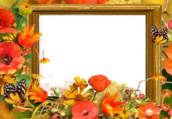 Photo effect from category Women's photo frames № 139911