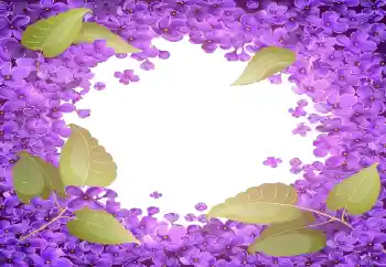 Photo effect from category Women's photo frames № 141055