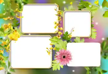 Photo effect from category Women's photo frames № 141134 Photo effect from category Women's photo frames № 141134