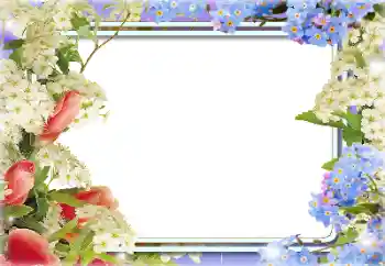 Photo effect from category Women's photo frames № 141146 Photo effect from category Women's photo frames № 141146