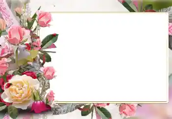 Photo effect from category Women's photo frames № 141147