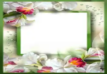 Photo effect from category Women's photo frames № 142310