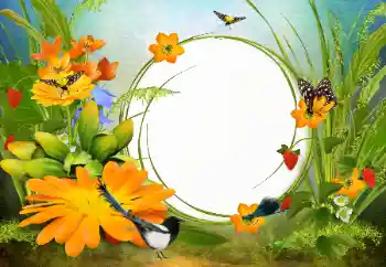 Photo effect from category Women's photo frames № 142333