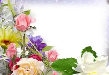 Photo effect from category Women's photo frames № 142430