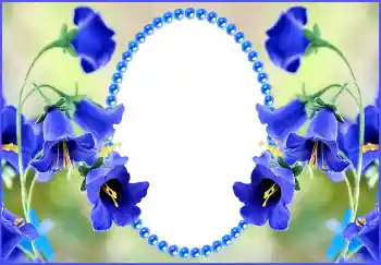 Photo effect from category Women's photo frames № 143516 Photo effect from category Women's photo frames № 143516