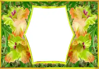 Photo effect from category Women's photo frames № 143517 Photo effect from category Women's photo frames № 143517