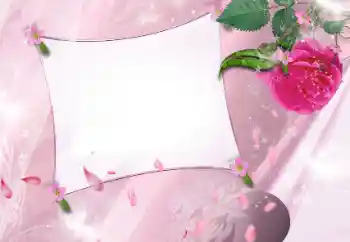 Photo effect from category Women's photo frames № 143586 Photo effect from category Women's photo frames № 143586
