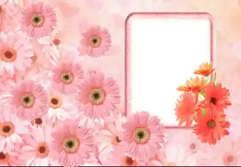 Photo effect from category Women's photo frames № 143633 Photo effect from category Women's photo frames № 143633