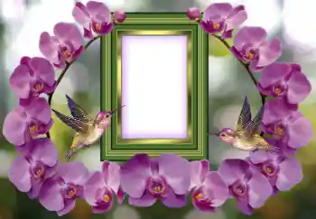 Photo effect from category Women's photo frames № 143676 Photo effect from category Women's photo frames № 143676
