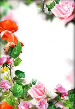 Photo effect from category Women's photo frames № 143693 Photo effect from category Women's photo frames № 143693