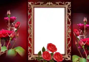 Photo effect from category Women's photo frames № 143757 Photo effect from category Women's photo frames № 143757