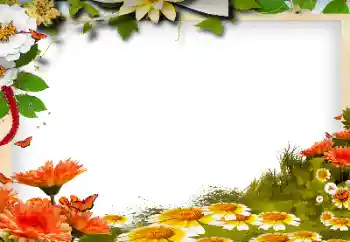 Photo effect from category Women's photo frames № 143768 Photo effect from category Women's photo frames № 143768