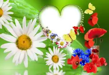 Photo effect from category Women's photo frames № 143780 Photo effect from category Women's photo frames № 143780