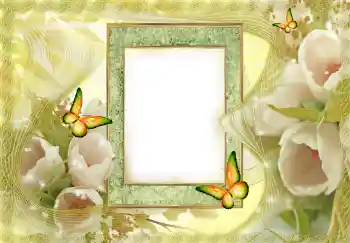 Photo effect from category Women's photo frames № 144841