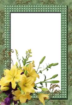 Photo effect from category Women's photo frames № 144962