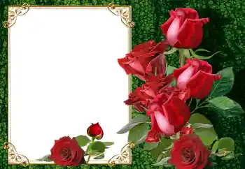 Photo effect from category Women's photo frames № 145105 Photo effect from category Women's photo frames № 145105