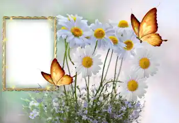 Photo effect from category Women's photo frames № 145117 Photo effect from category Women's photo frames № 145117