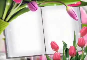 Photo effect from category Women's photo frames № 145223 Photo effect from category Women's photo frames № 145223