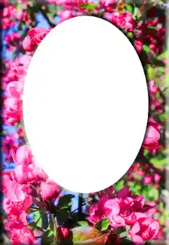 Photo effect from category Women's photo frames № 147641 Photo effect from category Women's photo frames № 147641