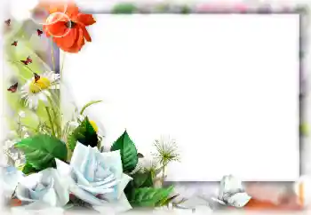 Photo effect from category Women's photo frames № 147740