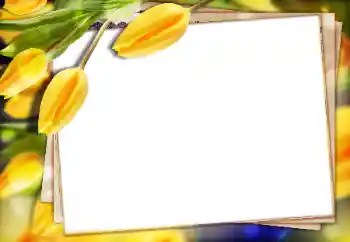 Photo effect from category Women's photo frames № 147770 Photo effect from category Women's photo frames № 147770