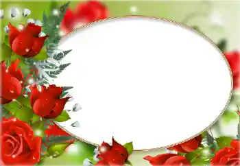 Photo effect from category Women's photo frames № 148994
