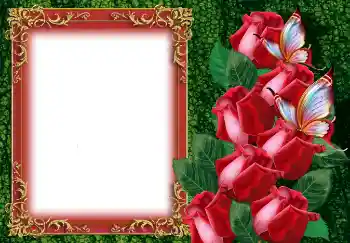 Photo effect from category Women's photo frames № 149219
