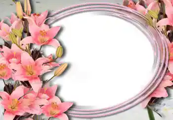 Photo effect from category Women's photo frames № 15032