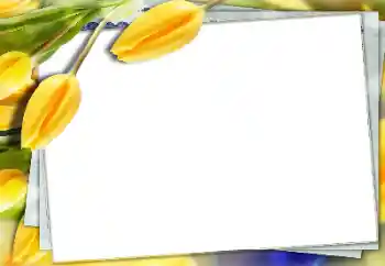 Photo effect from category Women's photo frames № 150591