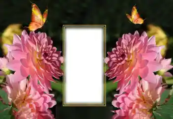 Photo effect from category Women's photo frames № 150649