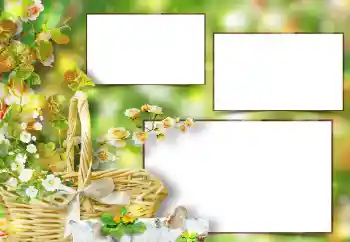 Photo effect from category Women's photo frames № 151667