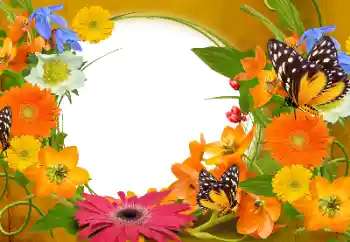 Photo effect from category Women's photo frames № 152894