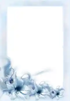 Photo effect from category Women's photo frames № 152955 Photo effect from category Women's photo frames № 152955