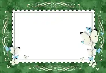 Photo effect from category Women's photo frames № 154319 Photo effect from category Women's photo frames № 154319