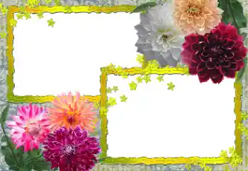 Photo effect from category Women's photo frames № 154361 Photo effect from category Women's photo frames № 154361