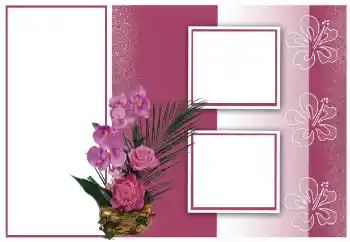 Photo effect from category Women's photo frames № 154581 Photo effect from category Women's photo frames № 154581