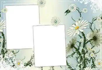 Photo effect from category Women's photo frames № 154786