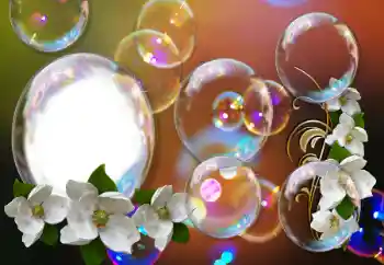 Photo effect from category Women's photo frames № 155793 Photo effect from category Women's photo frames № 155793