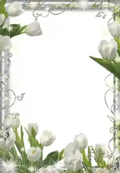 Photo effect from category Women's photo frames № 155849