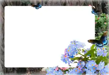 Photo effect from category Women's photo frames № 155873