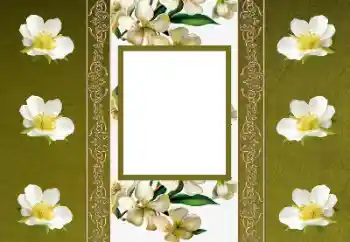 Photo effect from category Women's photo frames № 155880