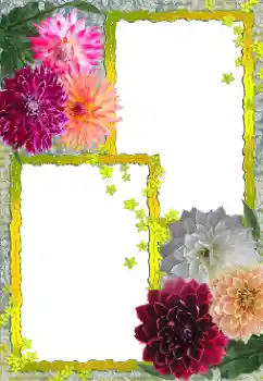 Photo effect from category Women's photo frames № 155888 Photo effect from category Women's photo frames № 155888