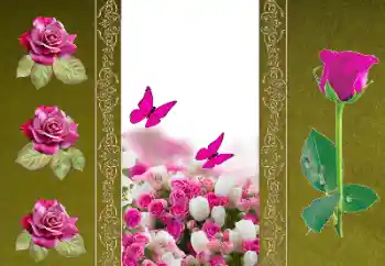 Photo effect from category Women's photo frames № 156050 Photo effect from category Women's photo frames № 156050