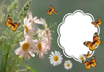 Photo effect from category Women's photo frames № 157064 Photo effect from category Women's photo frames № 157064