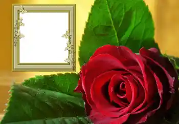 Photo effect from category Women's photo frames № 157088 Photo effect from category Women's photo frames № 157088