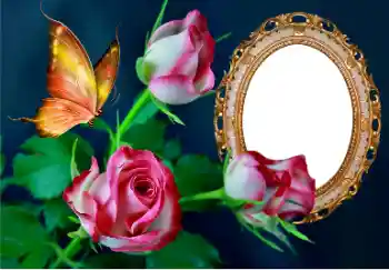 Photo effect from category Women's photo frames № 157089 Photo effect from category Women's photo frames № 157089