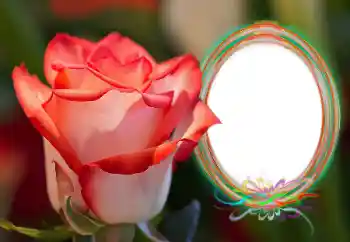 Photo effect from category Women's photo frames № 157090 Photo effect from category Women's photo frames № 157090