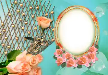 Photo effect from category Women's photo frames № 157126 Photo effect from category Women's photo frames № 157126