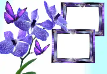 Photo effect from category Women's photo frames № 157133 Photo effect from category Women's photo frames № 157133